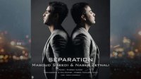 ناصر زینعلی - جدایی