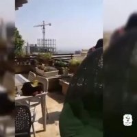 تایمر آبیاری آمیکو - شرکت نوین قطره