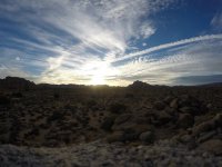 غروب بر فراز جنگل جاشوا