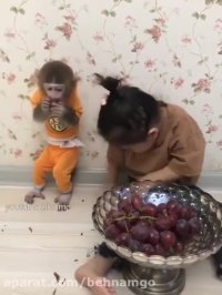 اینا رو ببین چقدر نازن خخخخ ^_^