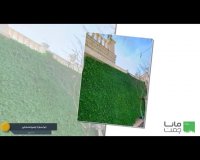 چمن مصنوعی دیوار سبز