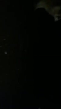 روباه نگونبخت