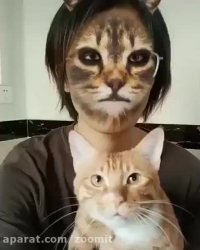 وقتی گربه‌ها با فیلتر گربه آشنا می‌شوند