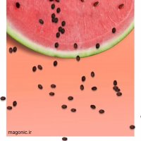 ویدیو تبریک شب یلدا - مگونیک