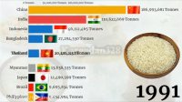 بزرگترین تولید کننده برنج جهان