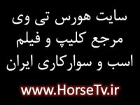 معرفی باشگاه های سوارکاری تهران - اسب سواری تهران