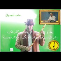 ضربی شور از ساخته های  حامد امجدیان