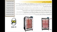 دستگاه 588 عددی جوجه کشی؛ دستگاهی مقاوم  با بازدهی بالا