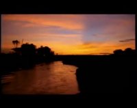 کنیا زیباترین طبیعت و حیات وحش دنیا