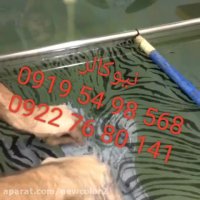 آموزش هیدروگرافیک نیو کالر 02156571279 واتر ترانسفر