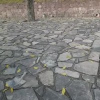 سنگ لاشه سنگ مالون 09124026545 بابهترین و بزرگترین پیمانکاری سنگ لاشه بابیش از 20سال سابقه ای کار ی تجربه کنید