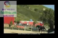 برترین مرکز کاردرمانی در البرز 09121623463|عظیمیه خیابان نیک نژاد گلستان 3