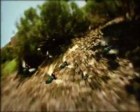 دانلود انیمیشن زندگی خصوصی حشرات 2006 - قسمت 1 - کفشدوزک