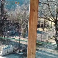 اقامتگاه بومگردی وارش در امامزاده هاشم رشت