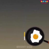 ⁣اگر روزی سه تخم مرغ بخوریم چه می شود؟