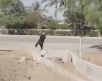 حادثه خبرنمی کند