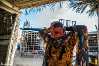 Qeshm Island | Iranian Cities