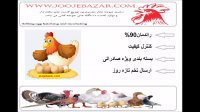 خرید و فروش تخم نطفه دار طاووس-تخم طاووس
