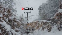 تا ساعاتی دیگر برق تهران وصل می شود
