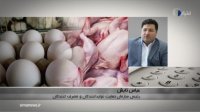 تابش  از علت گرانی تخم مرغ و مرغ پرده برداشت
