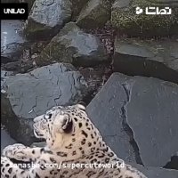 وقتی تو دوربین سلفی خودت رو می بینی