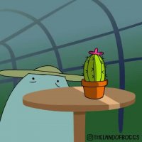 وقتی کسی میگه دستم به گل و گیاه نمیاد منظورش چیه ؟