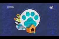 تخصیص ارز برای واردات "غذای سگ" یکی از اولویت های امروز دولت!