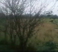 زمین و خانه روستایی 7000 متری در خمام