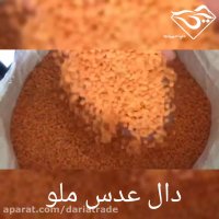 قیمت روز دال عدس ملو