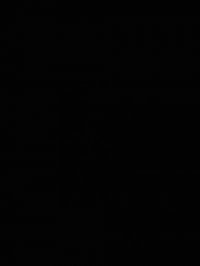 بیوگرافی کامل مترسک!!!!!