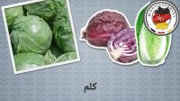 آموزش زبان آلمانی (سبزیجات)
