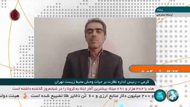 توضیحات محیط زیست تهران درباره تلف شدن گورخر آفریقایی