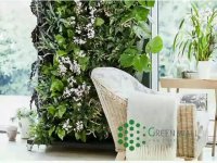 استند دیوار سبز