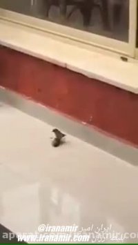 خیلی خیلی دیدنیه....