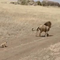 کلیپ خنده دار بابای بی حوصله