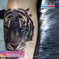 آموزش تتوی ببر روی ساق پا