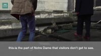 Learn words from the news: chunks, flying buttress, brace, Gothic masonry, crumbles
