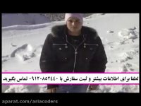 چای سبز 5040 با چربی سوزی و بی اشتهایی موجب لاغری میشه