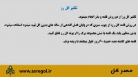 گل رز را بیشتر بشناسید | گل رز