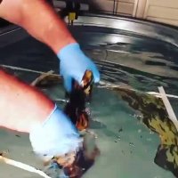 هیدروگرافیک09354420217