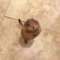 هرچی می خواد فقط بهش بدین