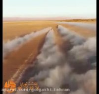 تجربه سافاری بینظیر در ایران