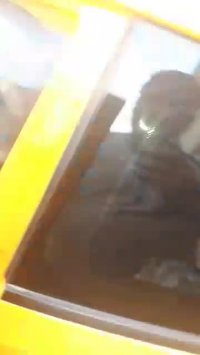 گندم کار فروش سنسور جلو فابریک برای خودروهای داخلی و وارداتی_نصب و راه اندازی سنسور جلو فابریک ولستر همراه با کلید فابریک بدون دخالت در سیم کشی ماشین به قیمت دوبی در تهران