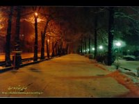 رویای برفی - مجید اخشابی