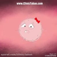 مراحل لقاح اسپرم و تخمک