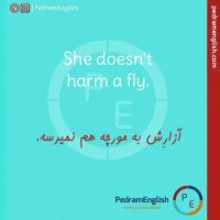 She doesn't harm a fly