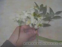 اموزش گل سینه