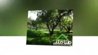 فروش باغ با بنای قدیمی در لم آباد ملارد کد 1439
