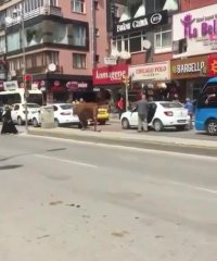 بدشانس یعنی مثل این زن ترکیه ای