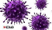 چگونه یک ویروس بخش می شود؟